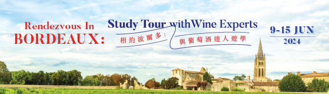 Rendezvous in Bordeaux: Study Tour with Wine Experts