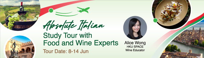 Absolute Italian : Study Tour with Food and Wine Experts